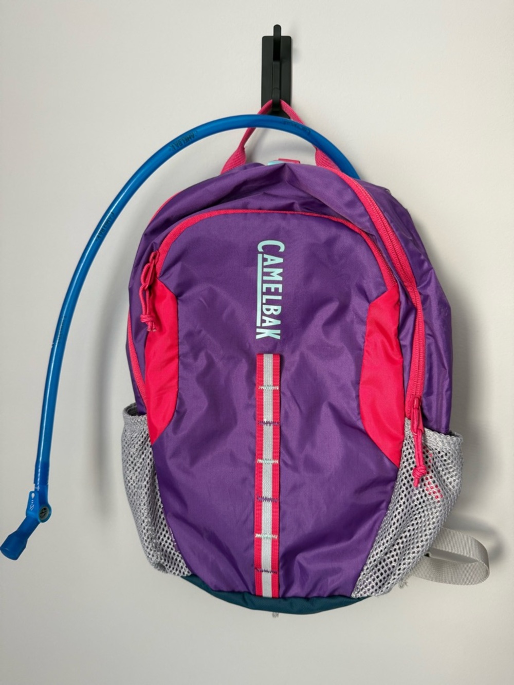 CamelBak Scout Purple and Pink Hydration Pack